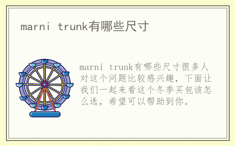 marni trunk有哪些尺寸