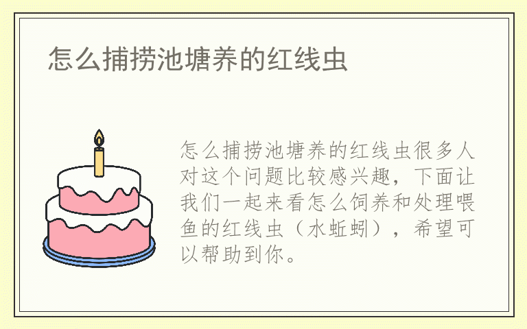 怎么捕捞池塘养的红线虫