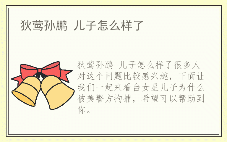 狄莺孙鹏 儿子怎么样了