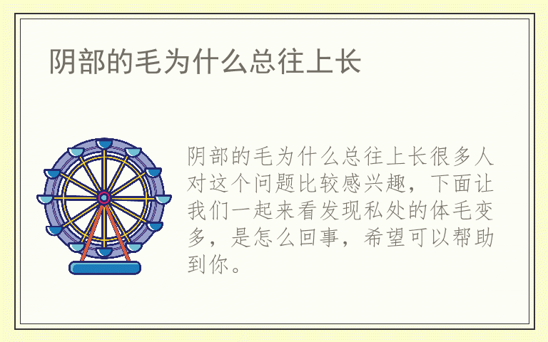 阴部的毛为什么总往上长