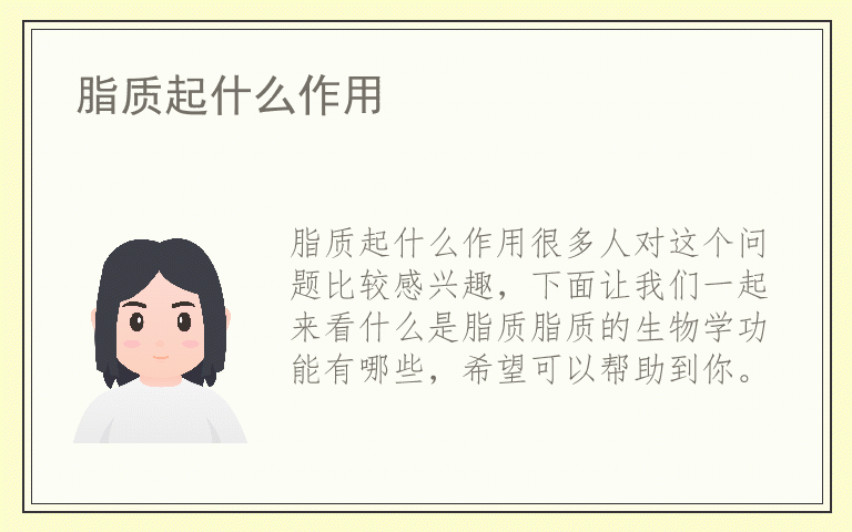 脂质起什么作用