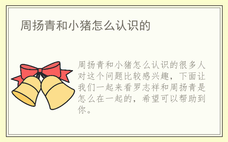 周扬青和小猪怎么认识的