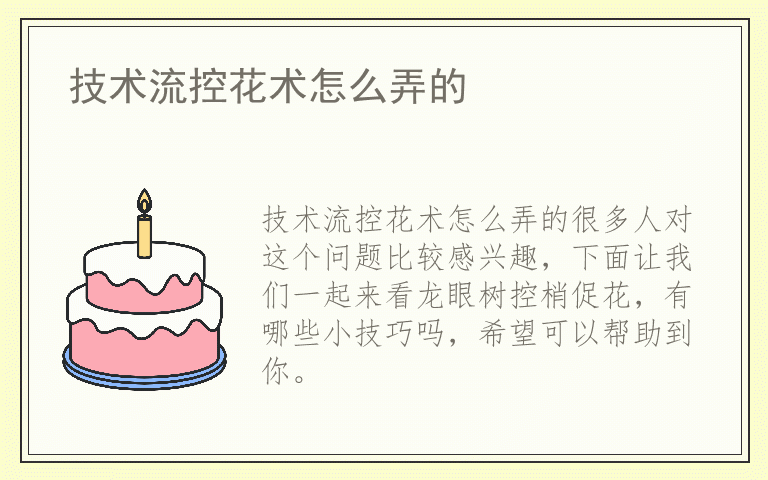 技术流控花术怎么弄的