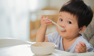 干饭人的解释 干饭人的意思