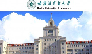 哈尔滨商业大学的简介概括 哈尔滨商业大学简介