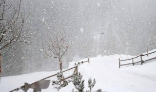 俄而雪骤原文介绍 俄而雪骤的俄而是什么意思