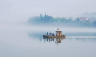 野旷天低树江清月近人的意思 说说野旷天低树江清月近人这两句诗的意思