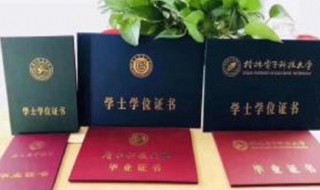 大专是何种学历与文化程度 大专是什么学历与文化程度