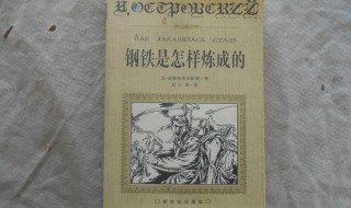 钢铁是怎样炼成的简介 钢铁是怎样炼成的介绍