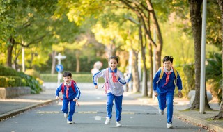 孩子学国际象棋的弊端 孩子学国际象棋的坏处