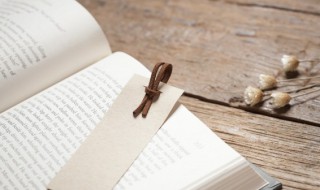 望时而待之孰与应时而使之什么意思 望时而待之孰与应时而使之的意思