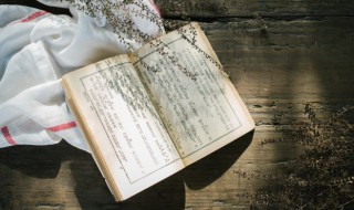 瓠子瓜怎么读 瓠瓜怎么读