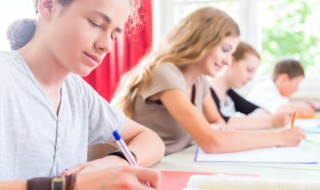 豆芽儿的拼音怎么写 豆芽的拼音怎么写