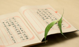 人小鬼大解释及出处 两个小孩一个鬼影在天上打一成语