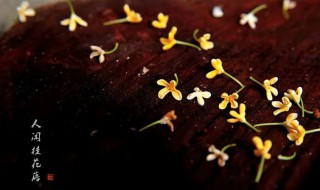 人闲桂花落出自哪里 人闲桂花落的闲字好在哪里