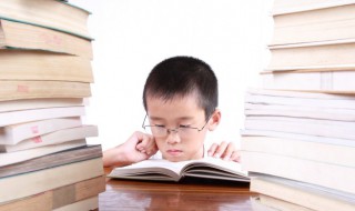 李清照的夏日绝句主旨是哪一句 夏日绝句主旨是哪一句