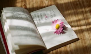 遗憾千万种各人皆不同的解释 遗憾千万种各人皆不同什么意思
