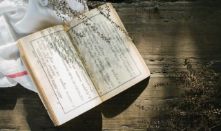 历四时而常茂原文 历四时而常茂中的四时是什么