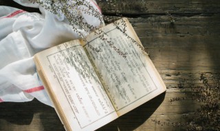 屎字怎么组词 屎字组词