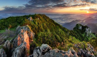 黄山松奇的原因 为什么说黄山松奇