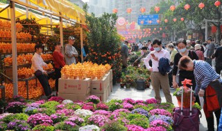 什么花有象征意义分别是什么 哪些花有象征意义分别象征什么