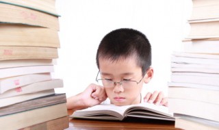 铁树的象征意义介绍 铁树的象征意义是什么