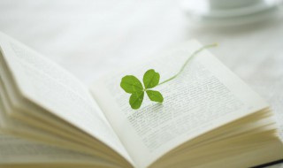 二年级上册古诗有哪些 二年级上册全部古诗