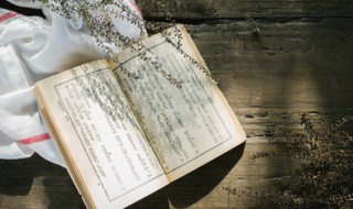 强字开头的成语及解释 强字开头的成语
