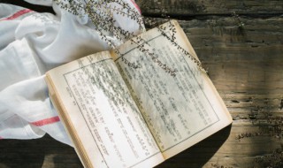 采薇拼音版及译文 采薇拼音版
