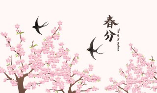 2022年春分的具体精确时辰如何计算 2022年春分的具体精确时辰怎么计算