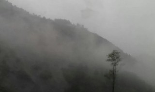 为什么巫山云雨会被误会 巫山云雨典故出自那里啊详细说明