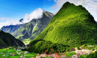 关于黄山云雾的资料有哪些 关于黄山云雾的资料