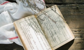 寻找自我作文范文 以寻找什么为话题的作文