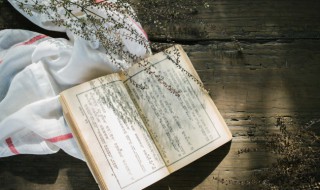 关于桃花的古诗句 桃花诗词名句