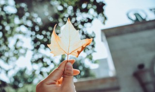 幸福就是现在范文欣赏 幸福就是现在作文