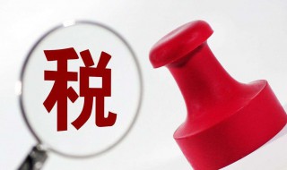 无需办理年度汇算的纳税人介绍 无需办理年度汇算的纳税人包括