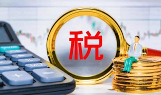 到底退税金额退到哪里 退税金额退到哪里
