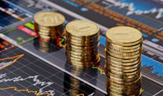 关于股种的意思介绍 股种什么意思是什么