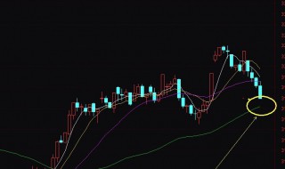 股票停盘的意思介绍 股票停盘是什么意思