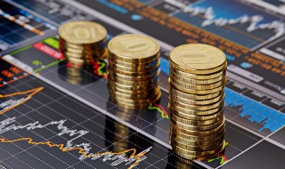 股票个股解释 股票个股是什么意思