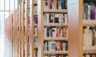 主力控盘意思是什么 主力控盘是什么意思