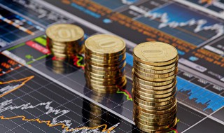 股票认购的解释 股票认购是什么意思