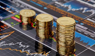 中新股具体是什么意思 中新股是什么意思