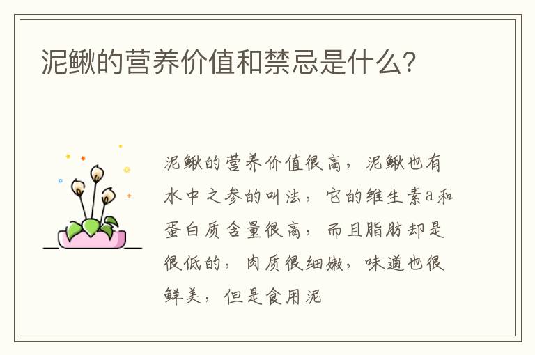 泥鳅的营养价值和禁忌是什么