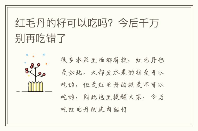 今后千万别再吃错了 红毛丹的籽可以吃吗