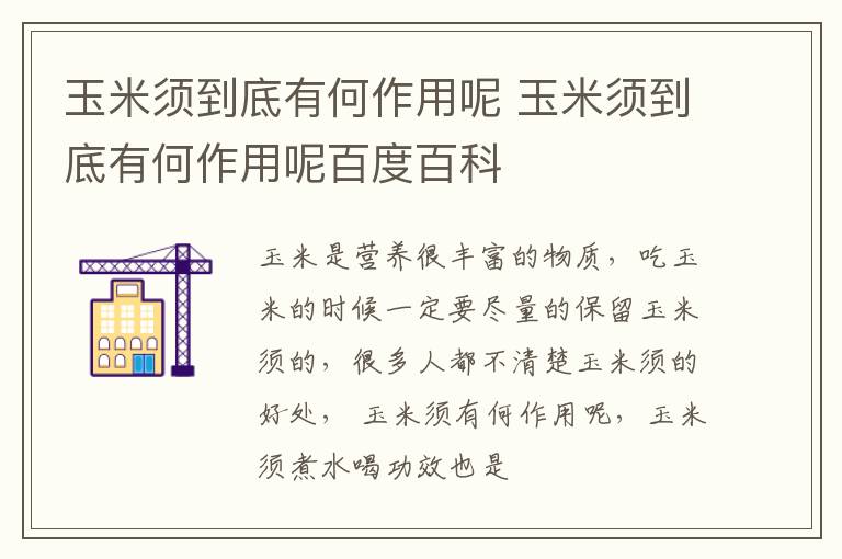 玉米须到底有何作用呢百度百科 玉米须到底有何作用呢