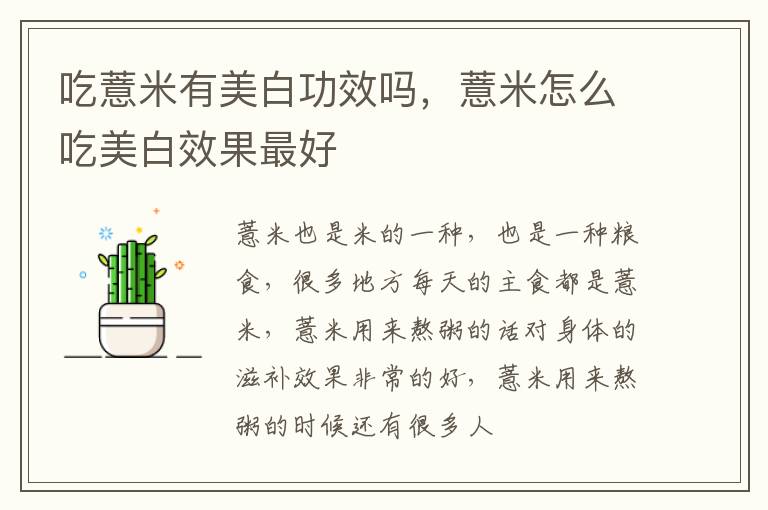 薏米怎么吃美白效果最好 吃薏米有美白功效吗