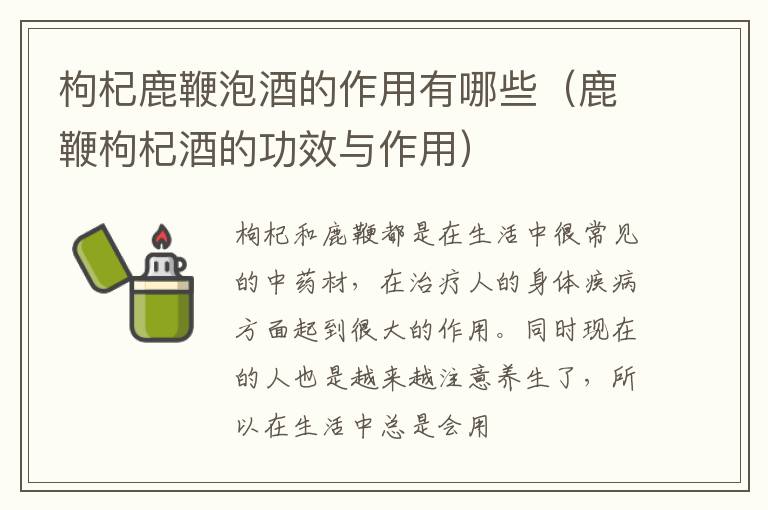 鹿鞭枸杞酒的功效与作用 枸杞鹿鞭泡酒的作用有哪些