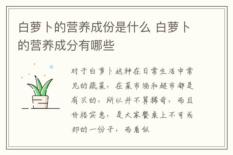 白萝卜的营养成分有哪些 白萝卜的营养成份是什么