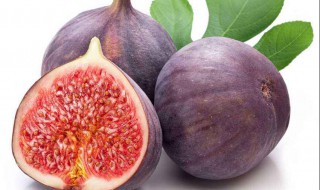 你弄明白了吗 无花果汁液有毒吗